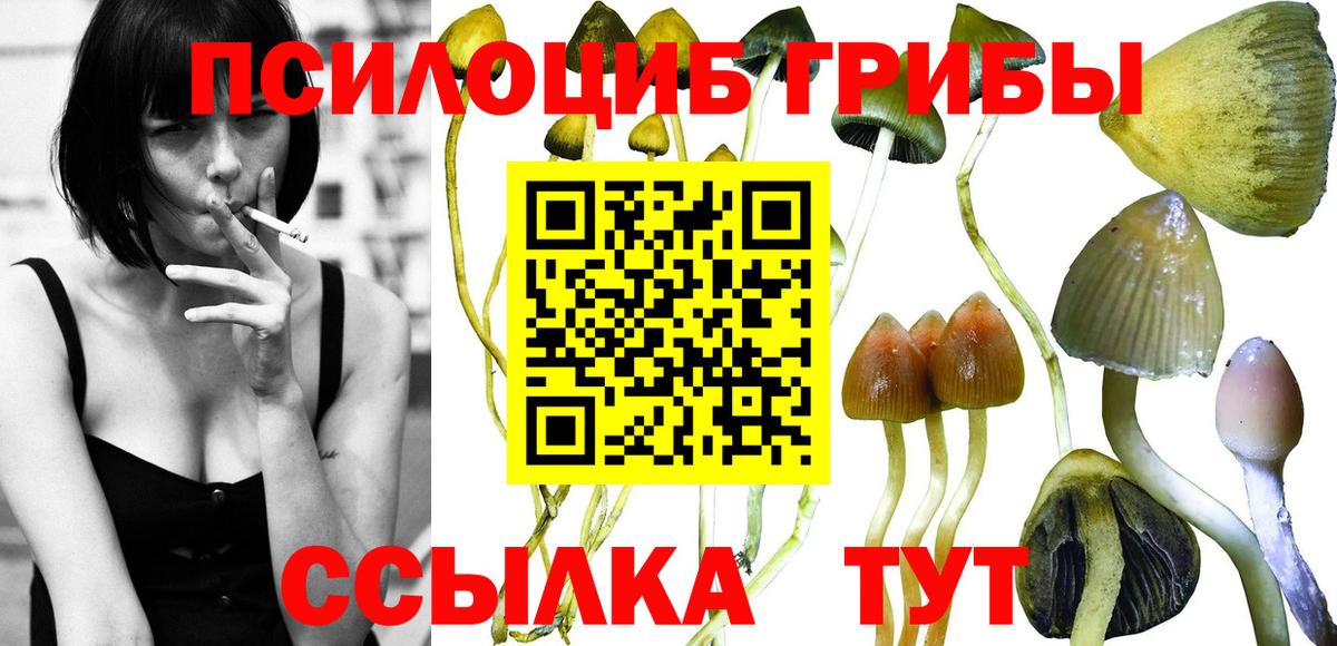 Псилоцибиновые грибы прущие грибы  Вход с VPN  Псилоцибиновые грибы Psilocybe  Электрогорск 